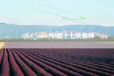 益阳中国十七块金牌