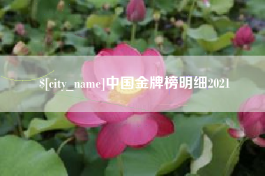 益阳中国金牌榜明细2021