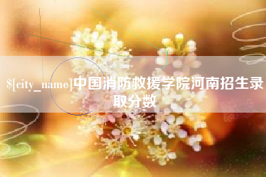 益阳中国消防救援学院河南招生录取分数