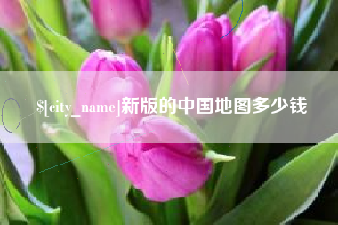 益阳新版的中国地图多少钱