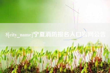 益阳宁夏消防报名入口官网公告