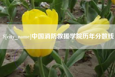 益阳中国消防救援学院历年分数线