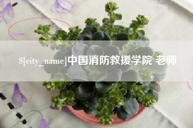 益阳中国消防救援学院 老师