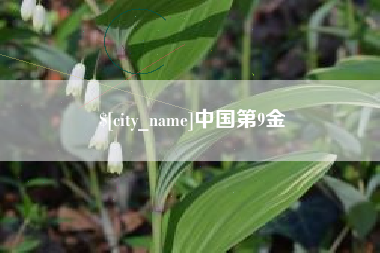 益阳中国第9金