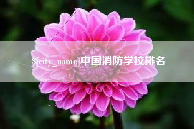益阳中国消防学校排名
