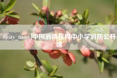 益阳中国消防官网中小学消防公开课