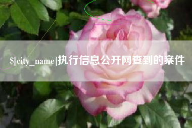 益阳执行信息公开网查到的案件