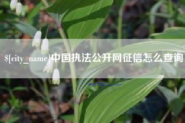 益阳中国执法公开网征信怎么查询