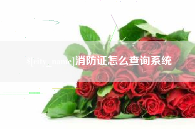 益阳消防证怎么查询系统