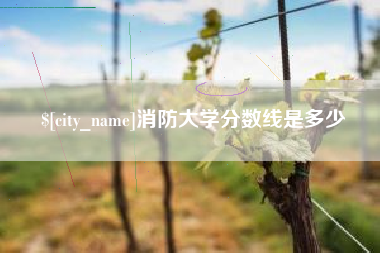 益阳消防大学分数线是多少