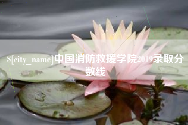 益阳中国消防救援学院2019录取分数线