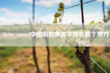 益阳中国消防救援学院在那个地方