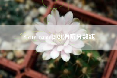 益阳2021消防分数线
