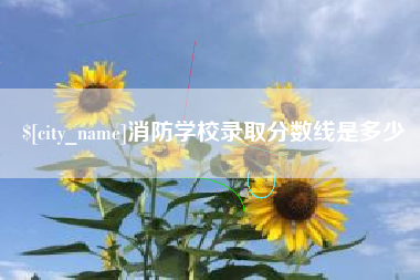 益阳消防学校录取分数线是多少