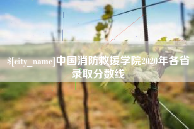益阳中国消防救援学院2020年各省录取分数线