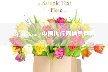 益阳中国执行网信息官网