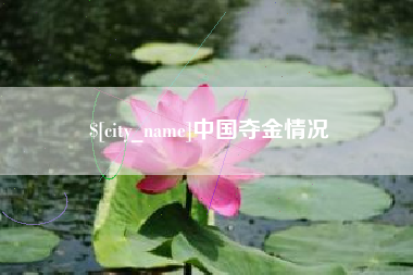 益阳中国夺金情况