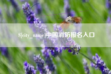 益阳中国消防报名入口
