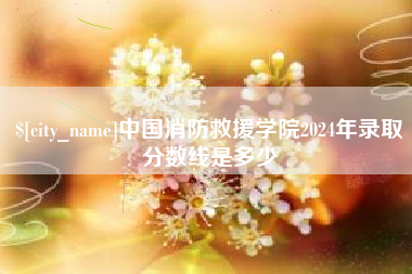 益阳中国消防救援学院2024年录取分数线是多少