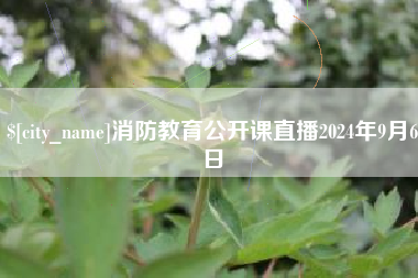 益阳消防教育公开课直播2024年9月6日
