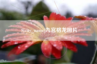 益阳九宫格龙图片