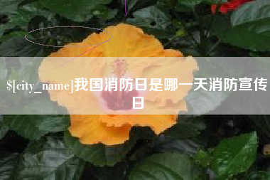 益阳我国消防日是哪一天消防宣传日