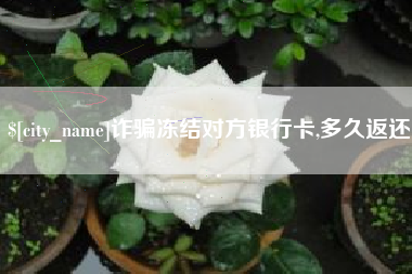 益阳诈骗冻结对方银行卡,多久返还