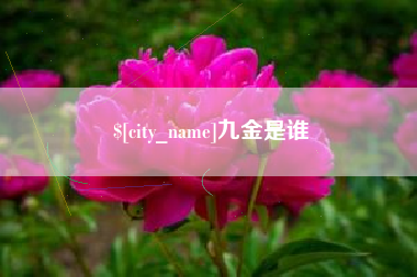 益阳九金是谁
