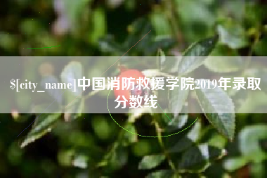 益阳中国消防救援学院2019年录取分数线