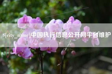 益阳中国执行信息公开网平台维护