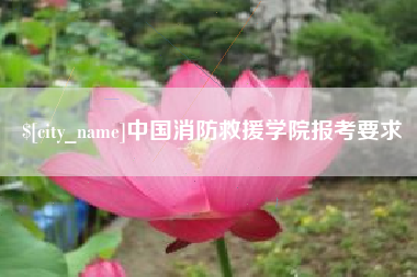 益阳中国消防救援学院报考要求