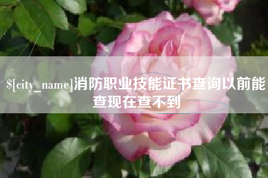 益阳消防职业技能证书查询以前能查现在查不到