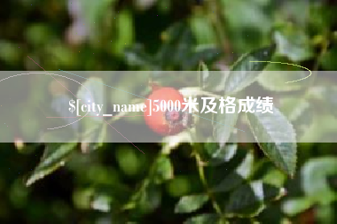 益阳5000米及格成绩