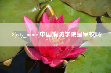 益阳中国消防学院是军校吗