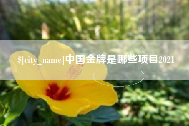 益阳中国金牌是哪些项目2021