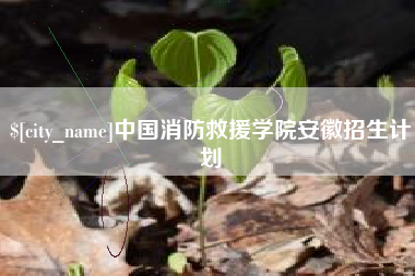 益阳中国消防救援学院安徽招生计划