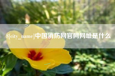 益阳中国消防网官网网址是什么
