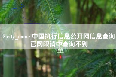 益阳中国执行信息公开网信息查询官网限消中查询不到