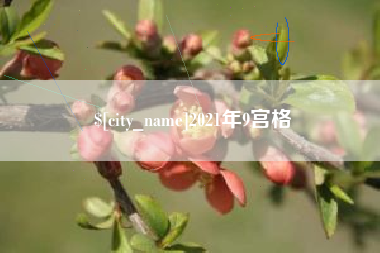 益阳2021年9宫格