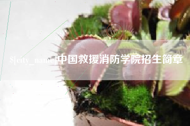 益阳中国救援消防学院招生简章
