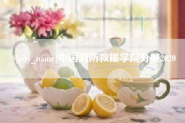 益阳中国消防救援学院分数2020