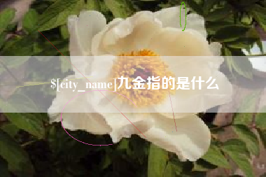 益阳九金指的是什么