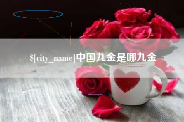 益阳中国九金是哪九金