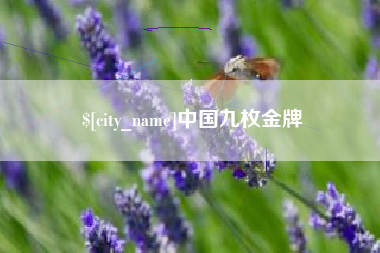 益阳中国九枚金牌