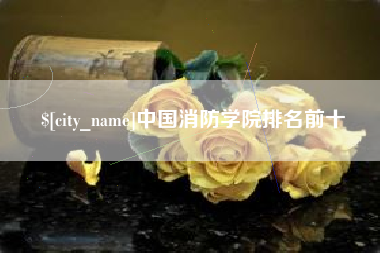 益阳中国消防学院排名前十
