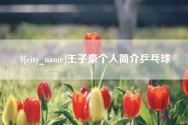 益阳王子豪个人简介乒乓球