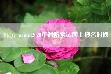 益阳2020年消防考试网上报名时间
