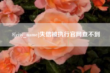 益阳失信被执行官网查不到