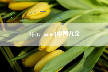 益阳中国九金