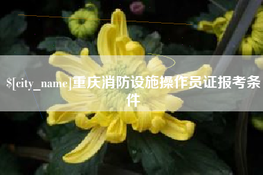 益阳重庆消防设施操作员证报考条件